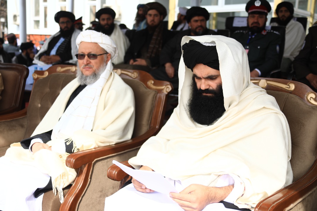 ظیب