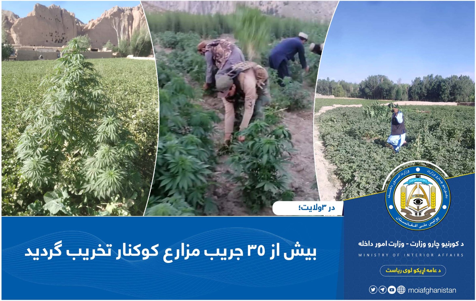 بببببب