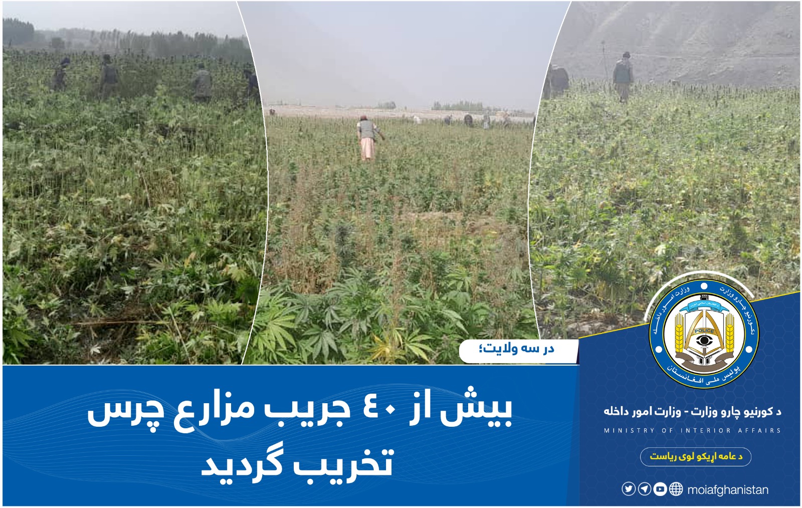 سیبسبسبس