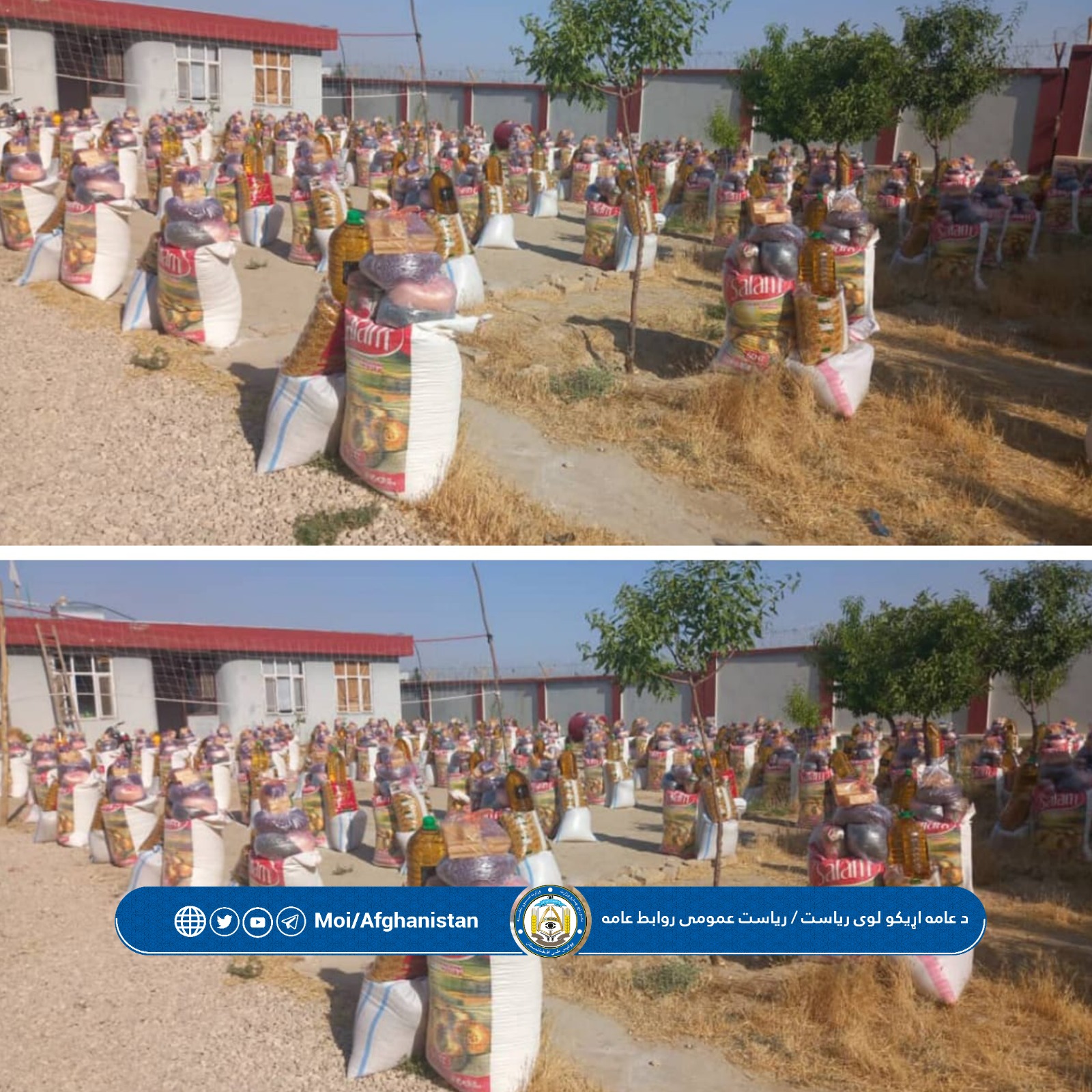 شسیشب
