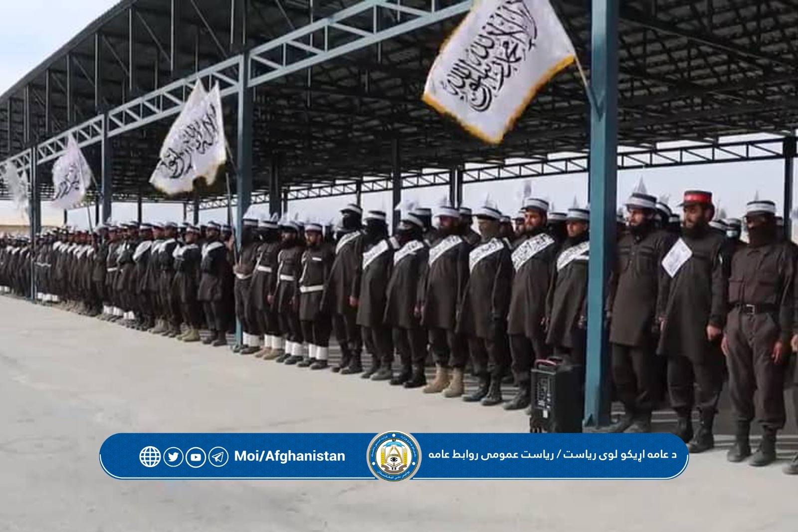 یشسبشسیبسشی