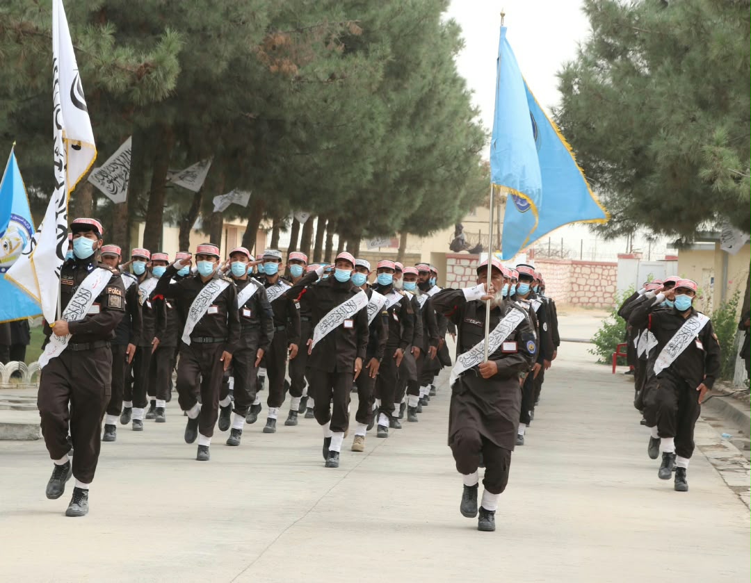 سیبسیب