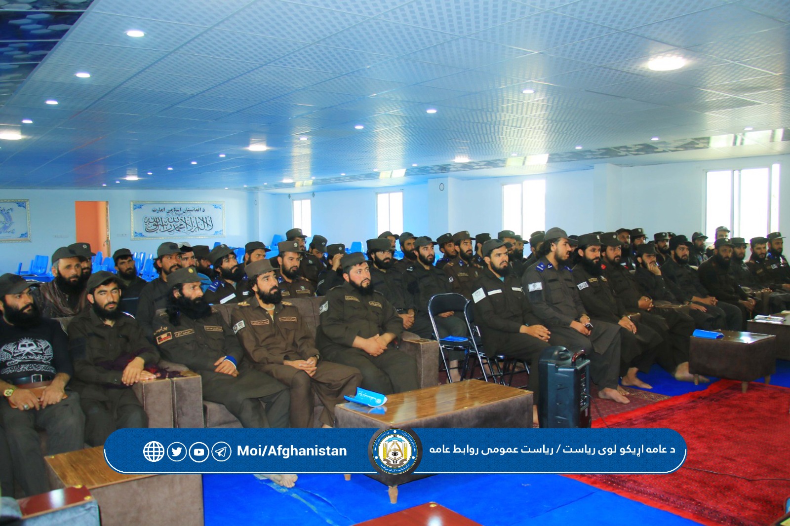 ظزرطظطز