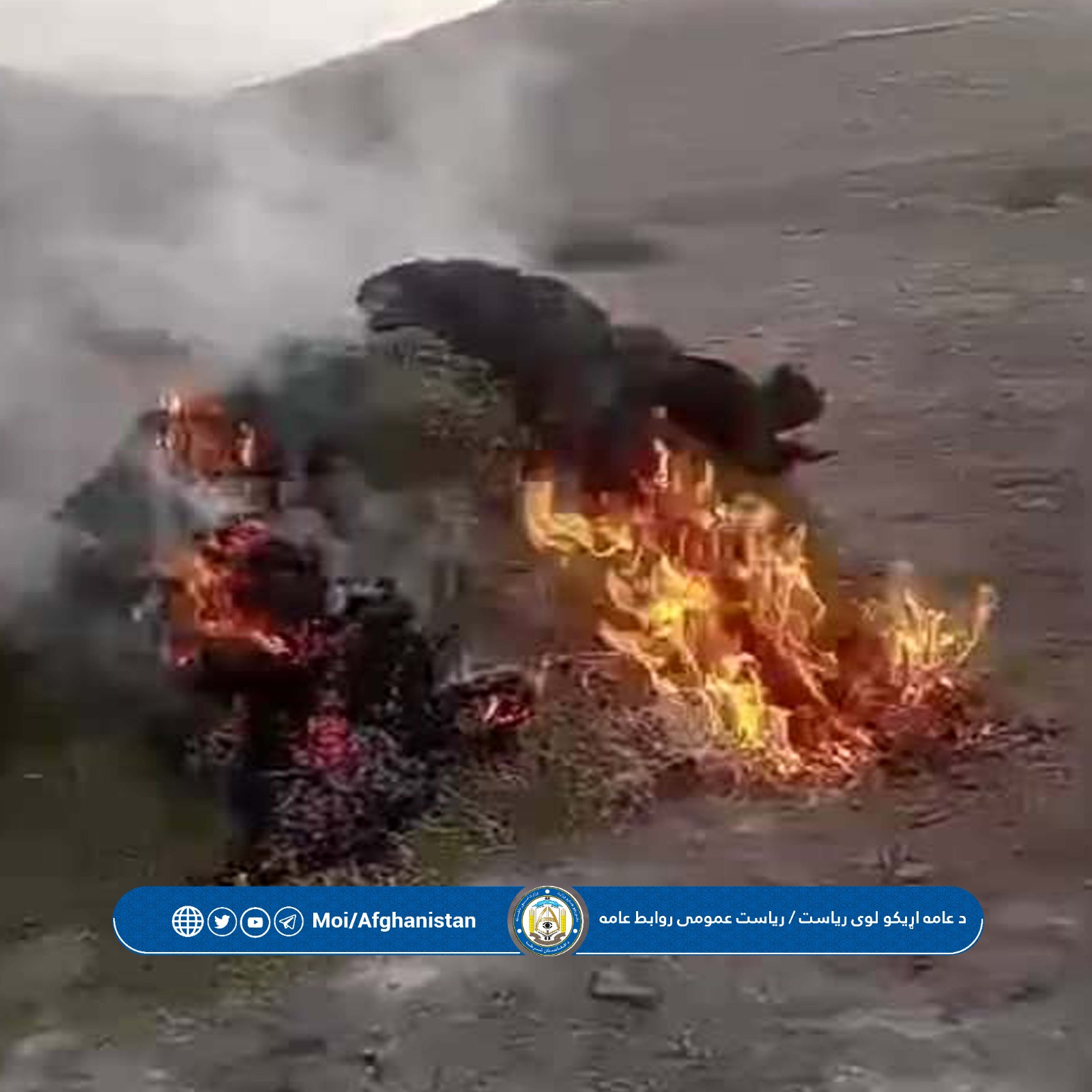 لسبلیس